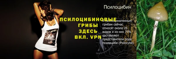 Альфа ПВП Елизово