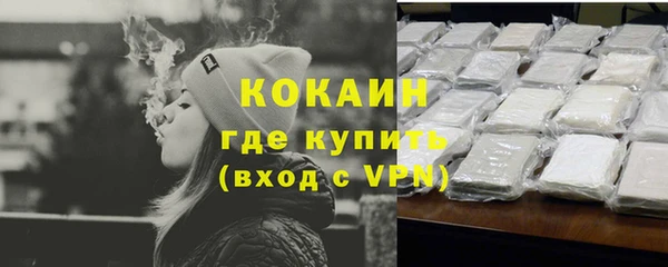 МДПВ Ельня