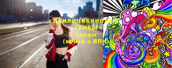 МДПВ Ельня