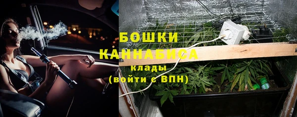Альфа ПВП Елизово