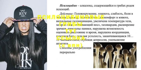 PSILOCYBIN Елабуга