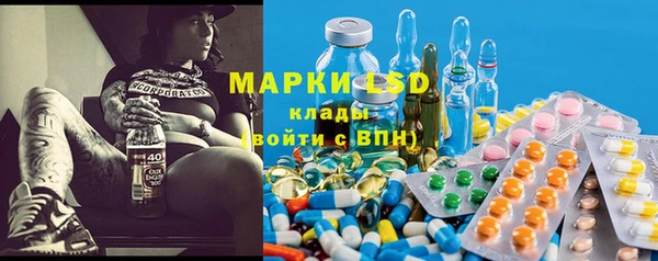 МДПВ Ельня