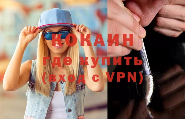 МДПВ Ельня