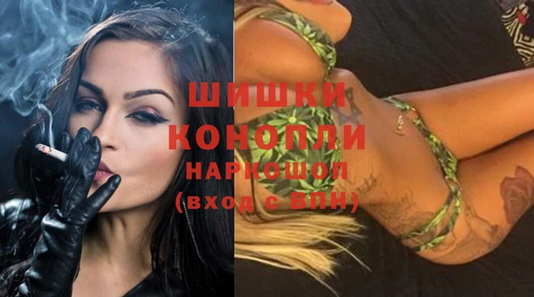 PSILOCYBIN Елабуга
