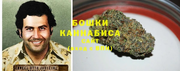 PSILOCYBIN Елабуга
