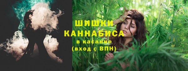 PSILOCYBIN Елабуга