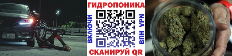 МАРИХУАНА MAZAR  Купить закладки  Купино 